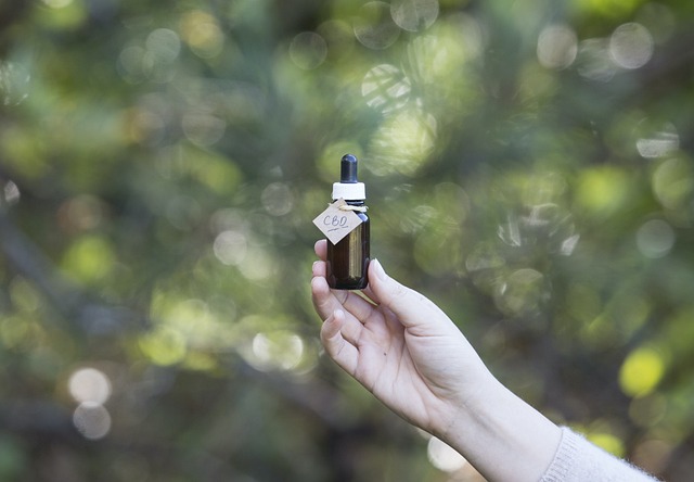 De helende kracht van cannabisolie: feiten en fabels ontrafeld